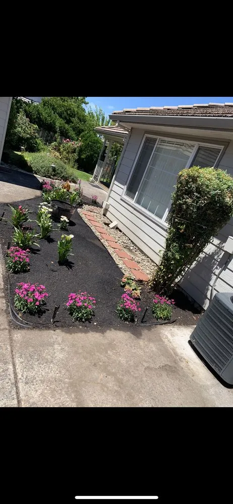 Affordable lawn mowing service in Central point, OR by More life construction & Landscaping