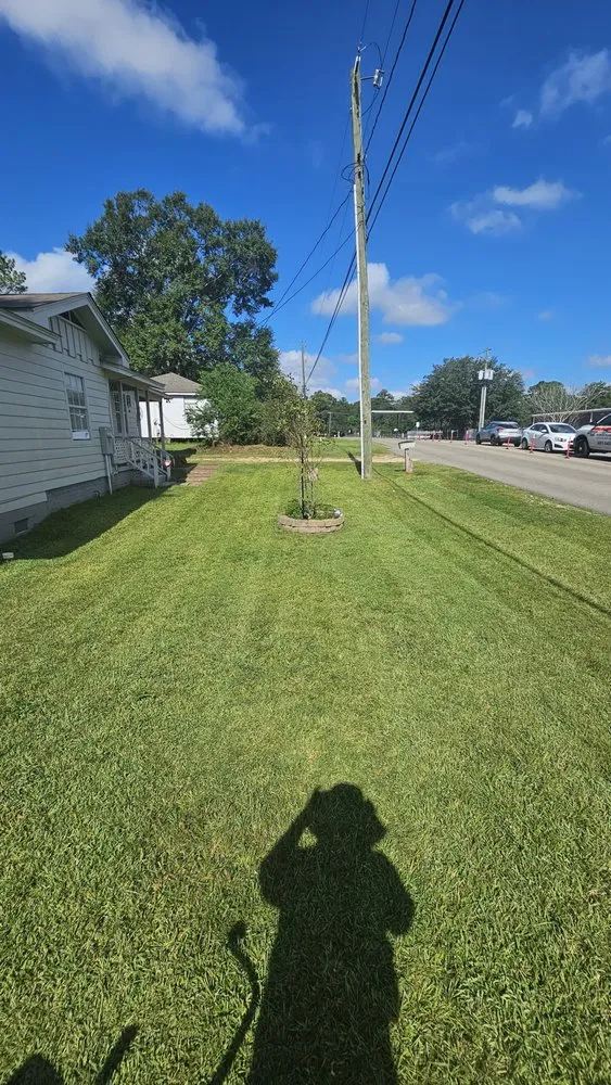 Affordable lawn care service in Pensacola, FL - More Outdoor Works