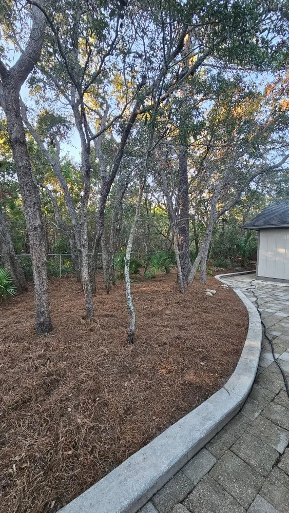 Expert garden landscaping with custom design in Pensacola, FL by More Outdoor Works