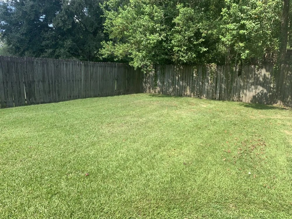 Reliable landscape design for residential properties across Baton Rouge, LA - More Pressure