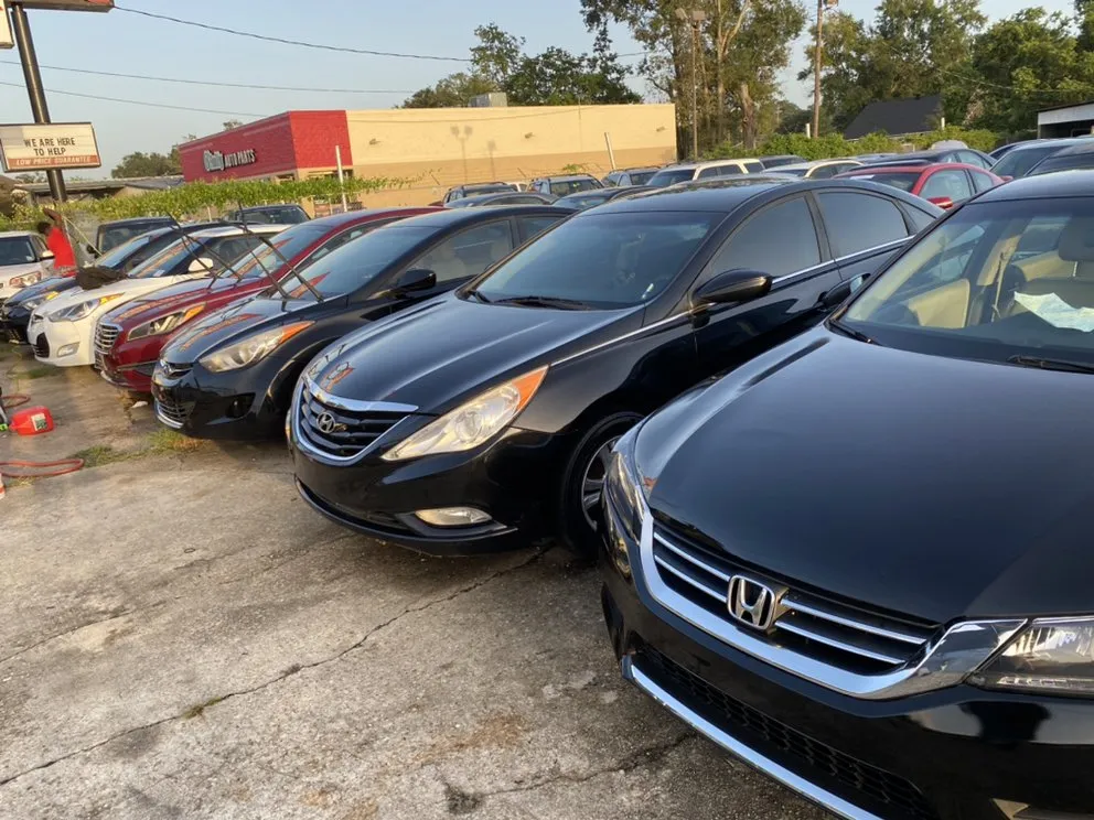 Reliable yard cleanup service with custom design in Baton Rouge, LA by More Pressure