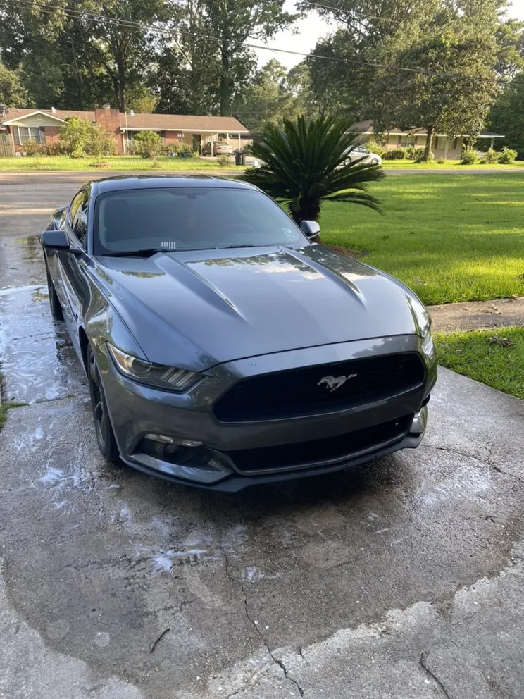 Trusted yard cleanup service in Baton Rouge, LA - More Pressure