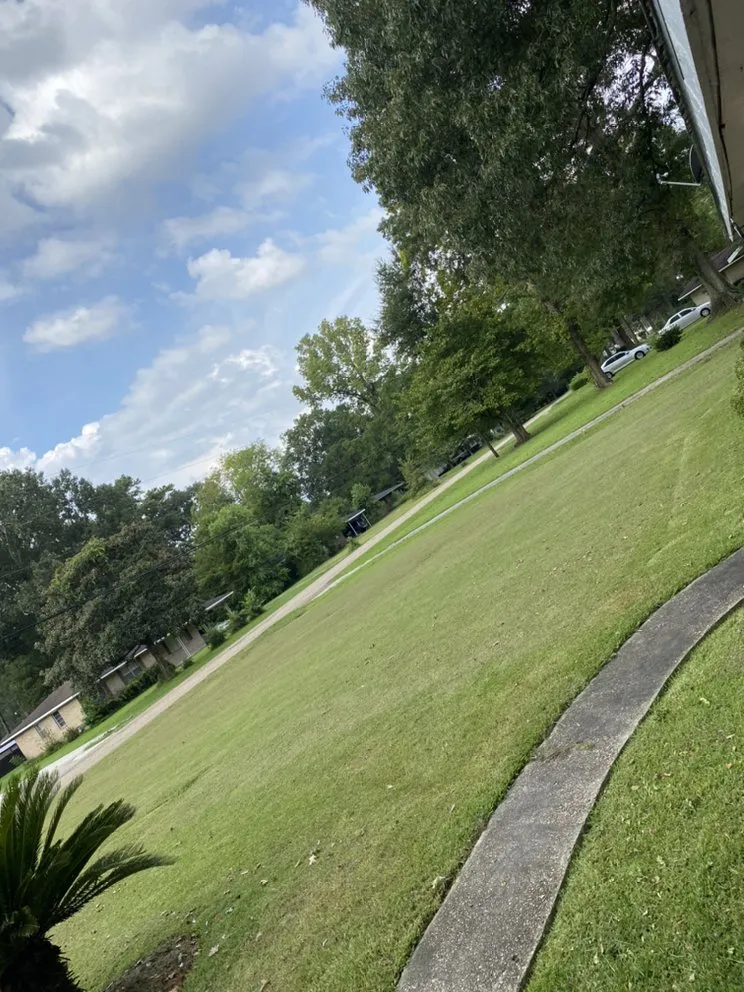 Affordable yard cleanup service in Baton Rouge, LA - More Pressure