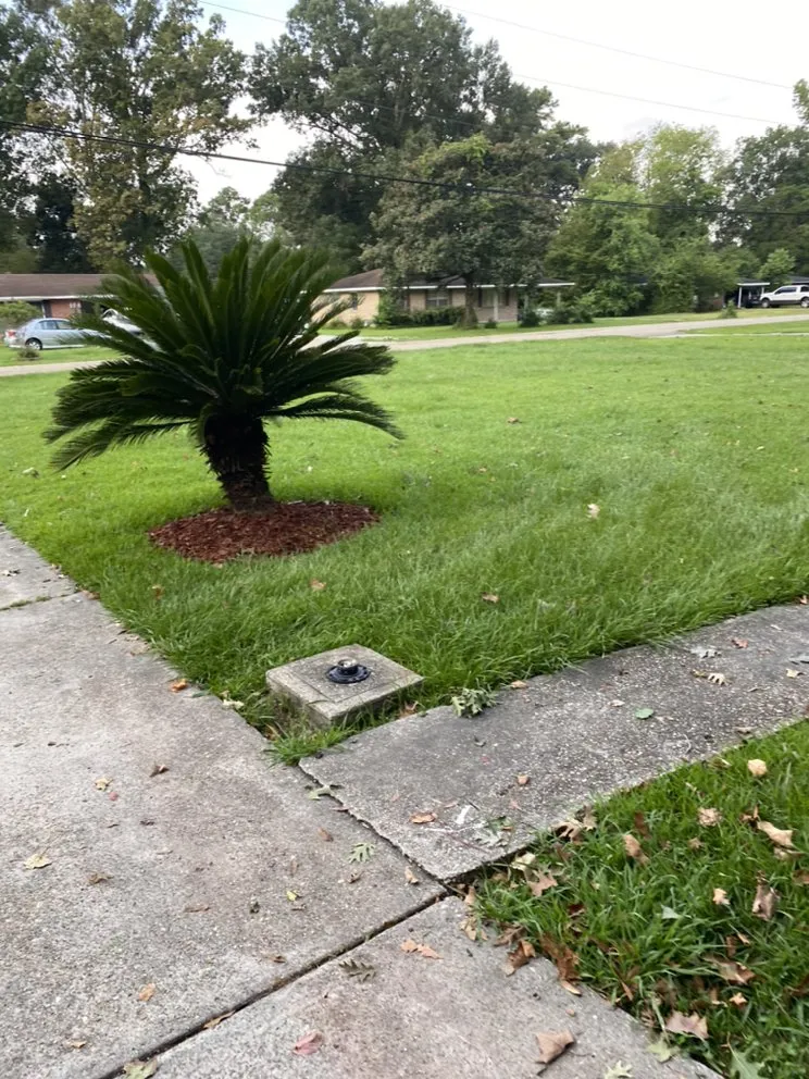 Custom outdoor landscaping in Baton Rouge, LA - More Pressure