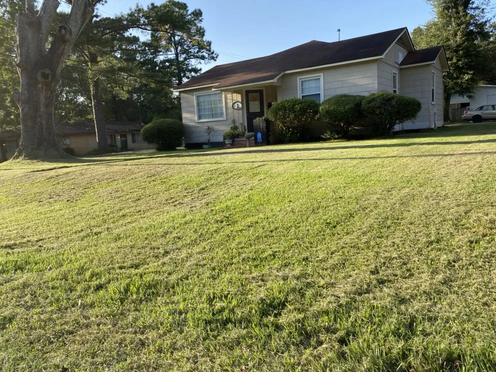 Trusted yard cleanup service in Baton Rouge, LA by More Pressure