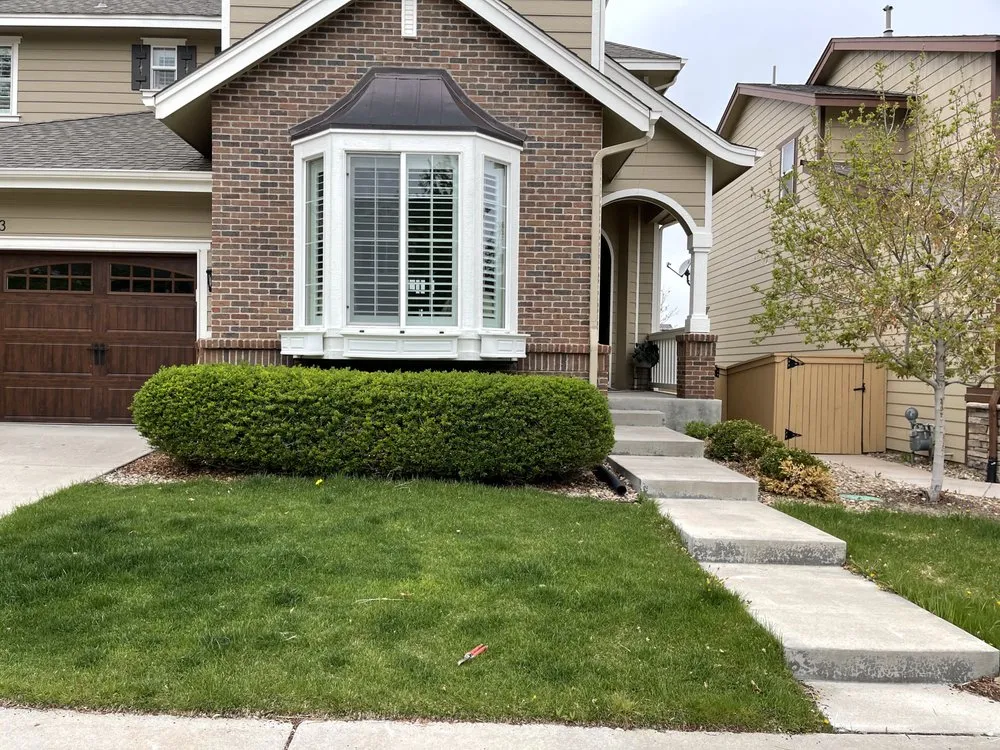 Professional lawn care service in Denver, CO - More Than 1 Thing Maintenance