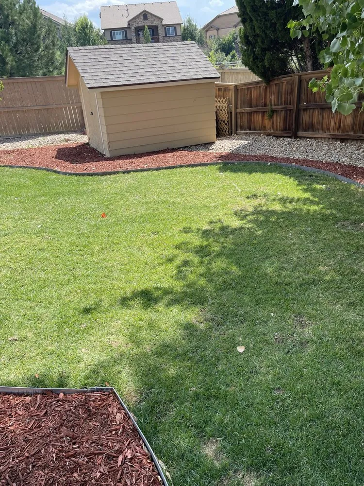 Professional yard maintenance in Denver, CO by More Than 1 Thing Maintenance