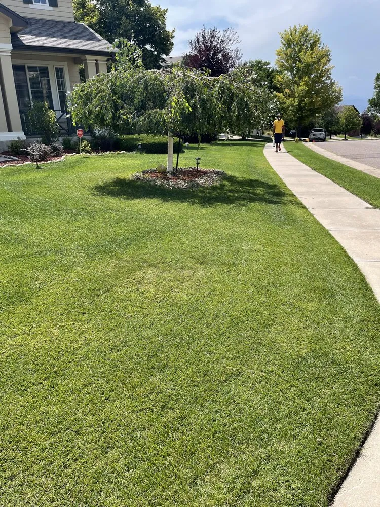 Affordable landscape design for homes across Denver, CO - More Than 1 Thing Maintenance