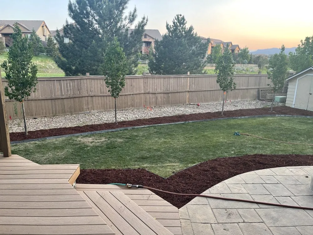Local lawn care service in Denver, CO by More Than 1 Thing Maintenance