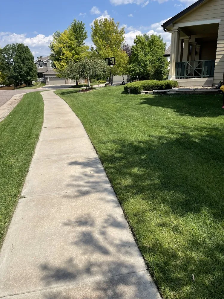 Reliable landscape installation experts serving Denver, CO - More Than 1 Thing Maintenance