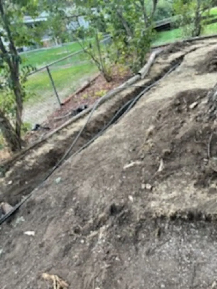 Top-rated yard cleanup service for year-round maintenance in Denver, CO by More Than 1 Thing Masonry