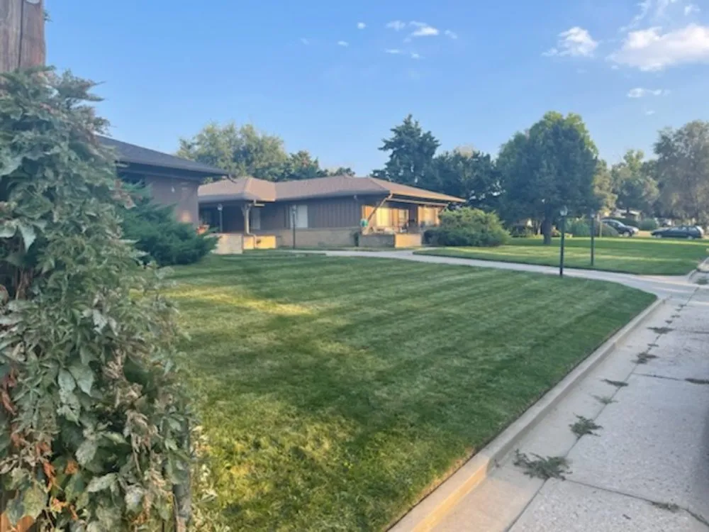 Affordable residential landscaping experts serving Denver, CO - More Than 1 Thing Masonry