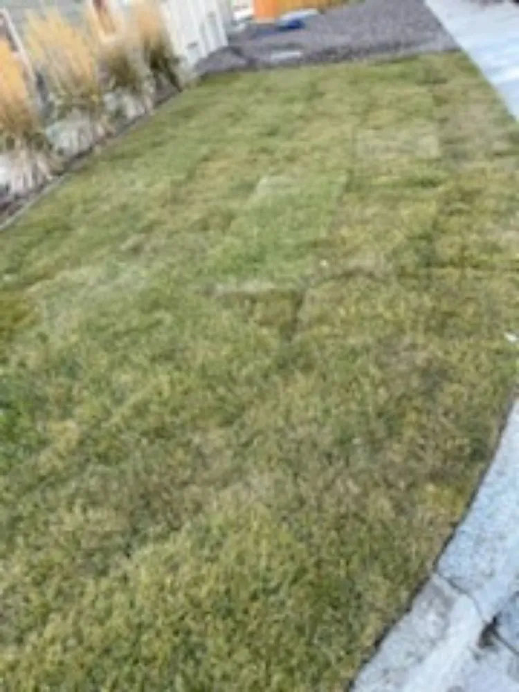 Professional landscape design in Denver, CO - More Than 1 Thing Masonry