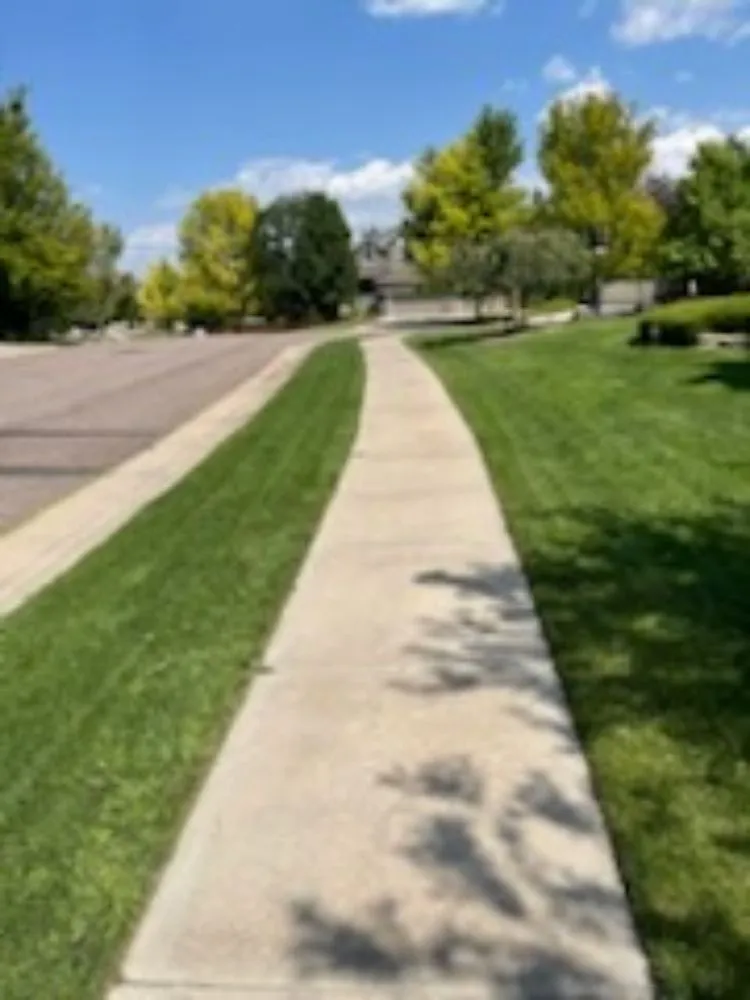 Reliable yard cleanup service in Denver, CO by More Than 1 Thing Masonry