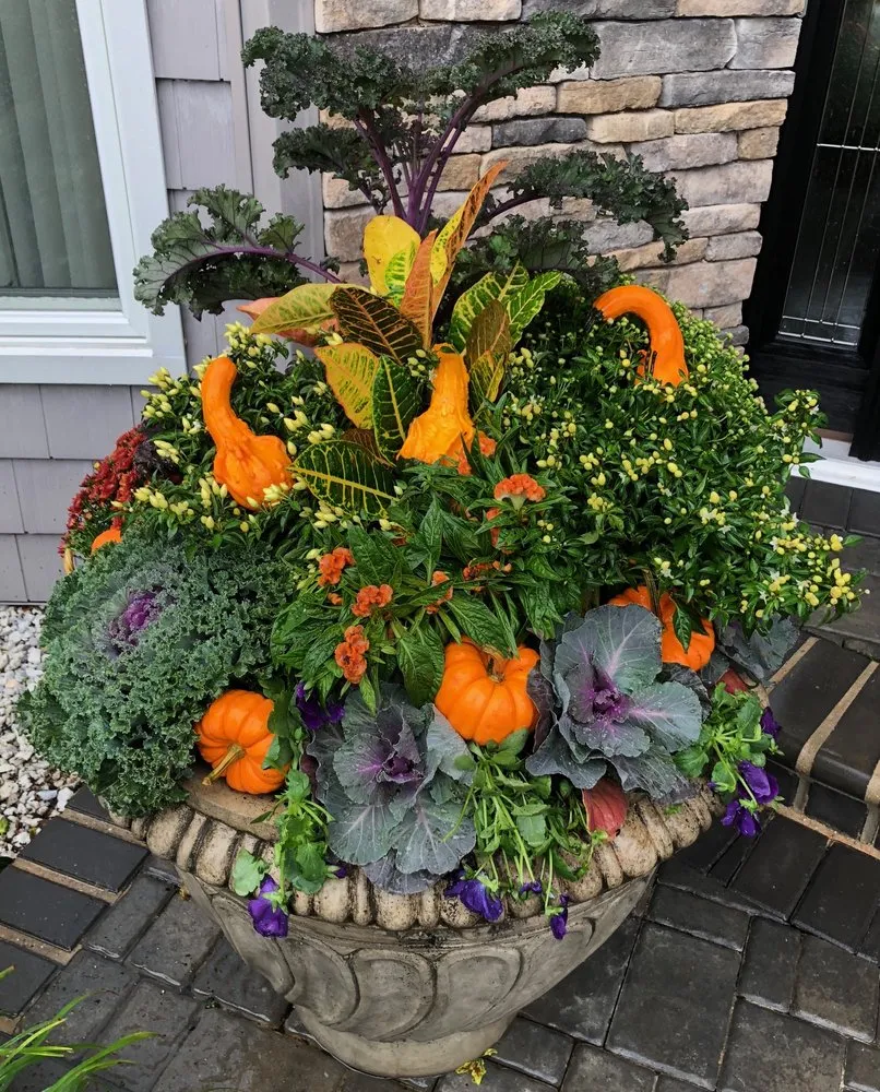 Trusted landscaping services experts serving Westbury, NY - More Than Gardens