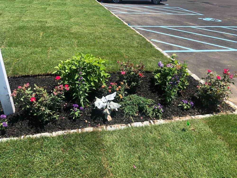 Professional lawn mowing service near you across Westbury, NY - More Than Gardens