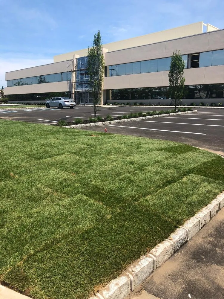 Professional garden landscaping experts serving Westbury, NY - More Than Gardens