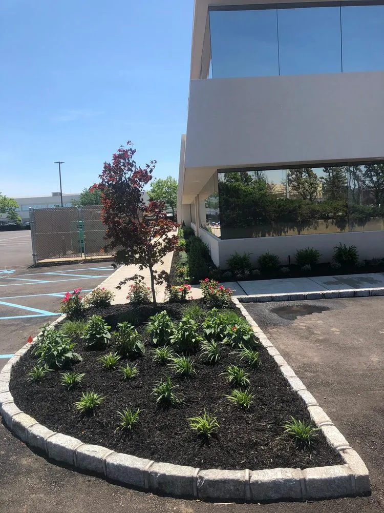 Trusted landscape installation in Westbury, NY by More Than Gardens