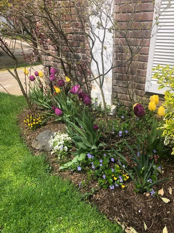 Professional lawn care service for outdoor upgrades across Westbury, NY - More Than Gardens