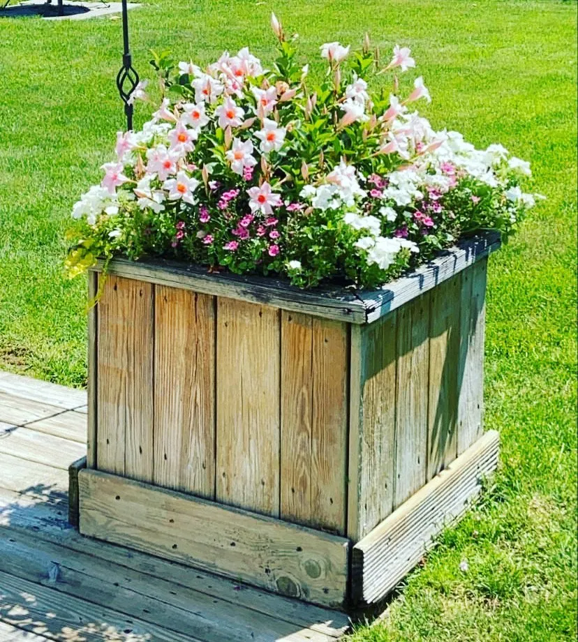 Professional outdoor landscaping in Westbury, NY by More Than Gardens