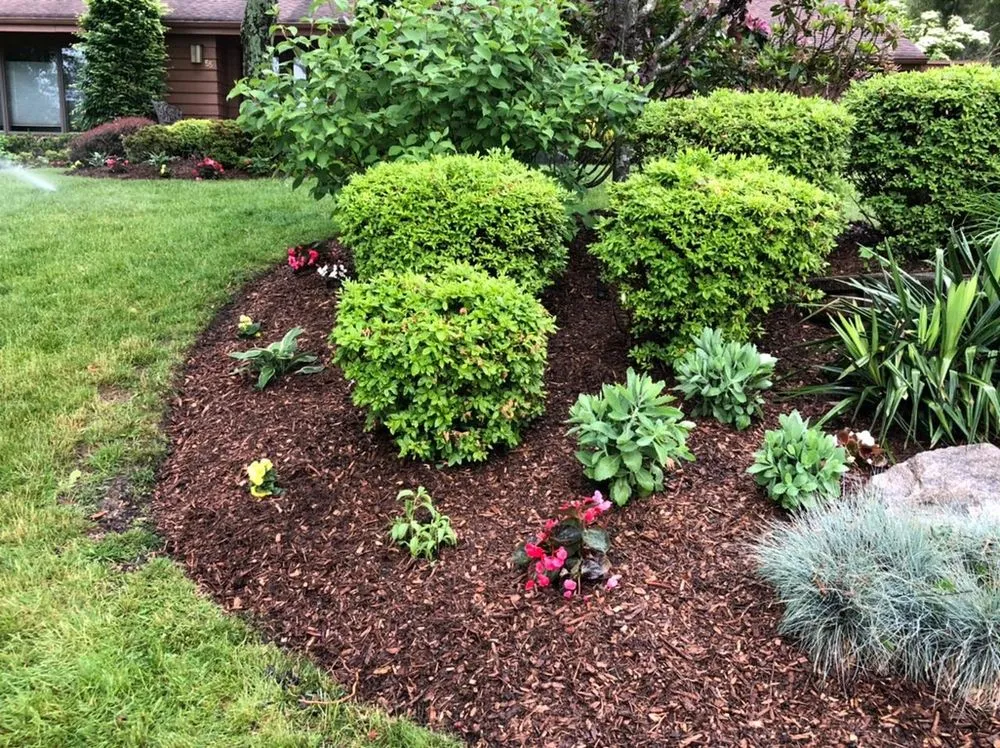 Professional yard cleanup service experts serving Westbury, NY - More Than Gardens