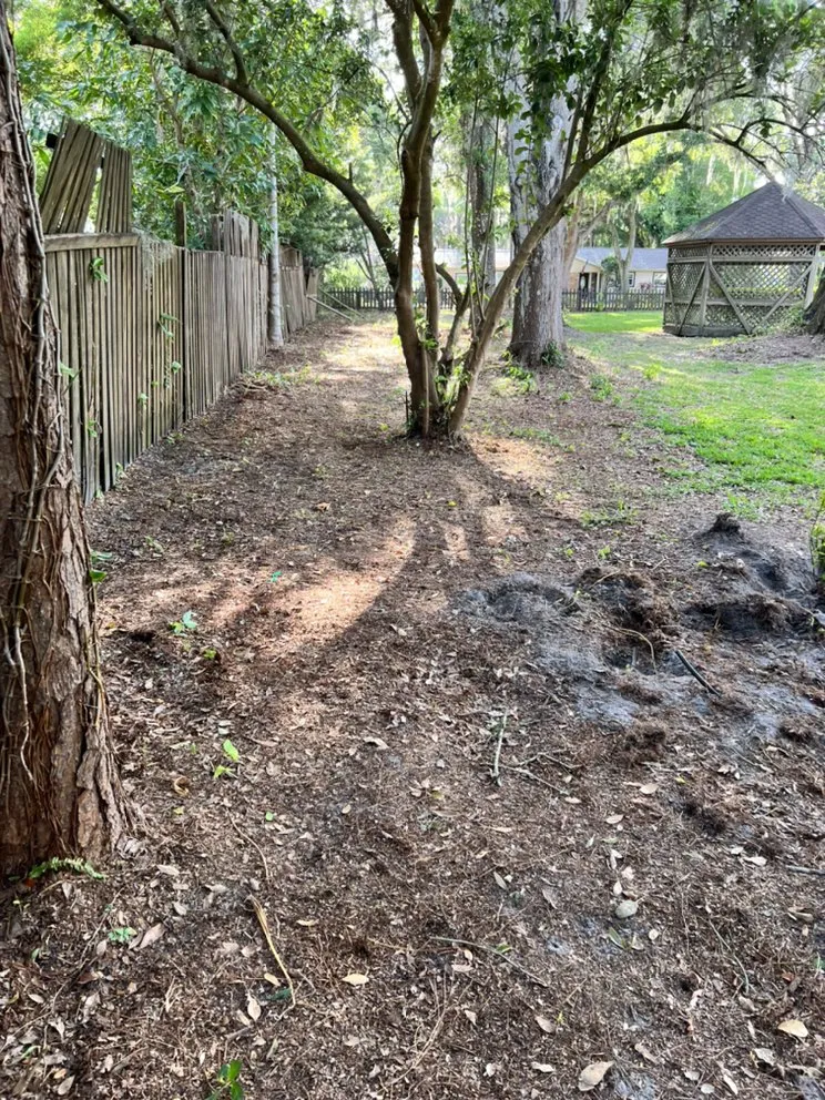 Reliable outdoor landscaping in Lutz, FL by More Than Mowing 813