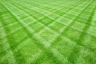 Expert residential landscaping experts serving Lenoir, NC - More Than Mowing