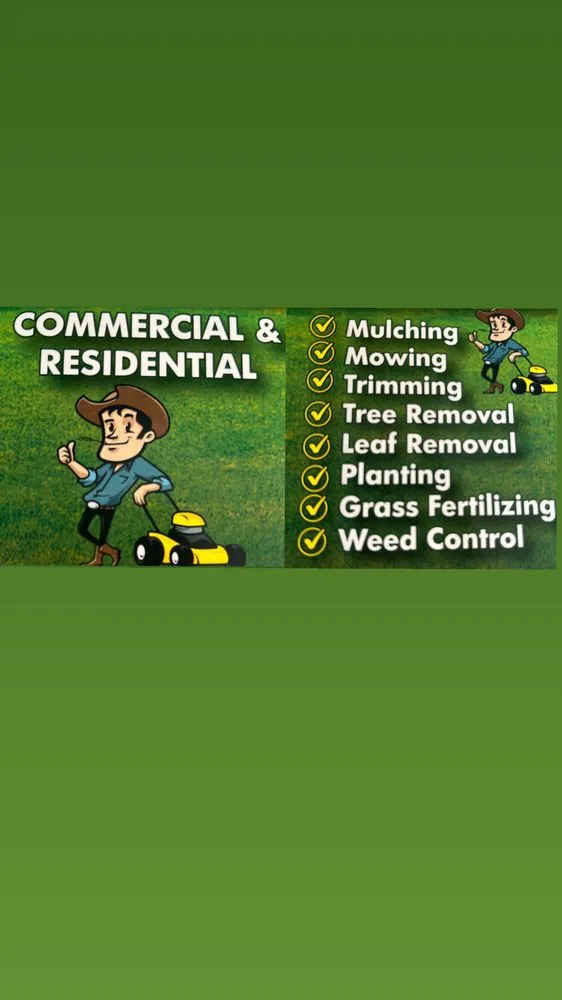 Expert landscape design for year-round maintenance in Little Rock, AR by Moreira’s Landscaping