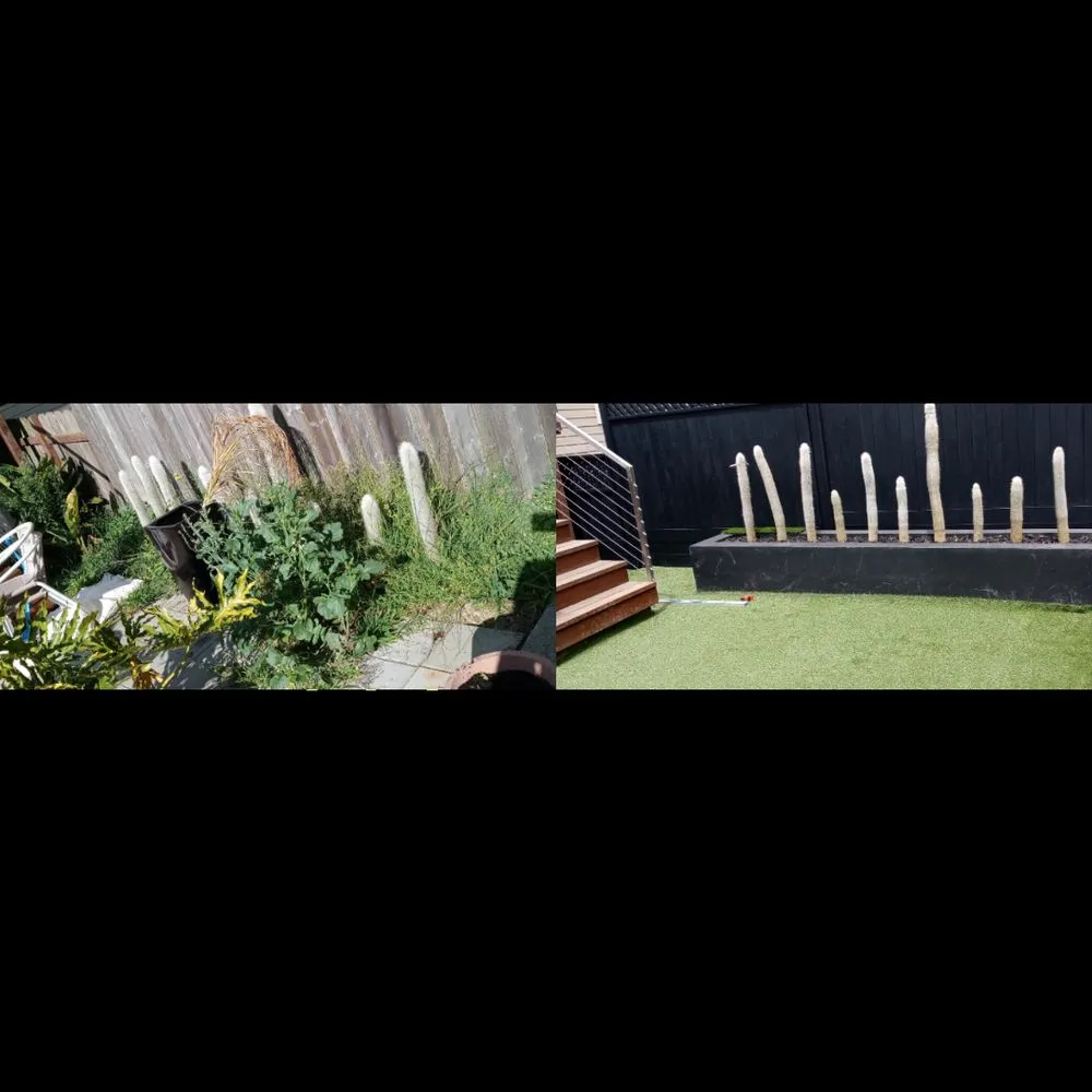 Reliable yard cleanup service in Millbrae, CA by Moreirs's Handyman