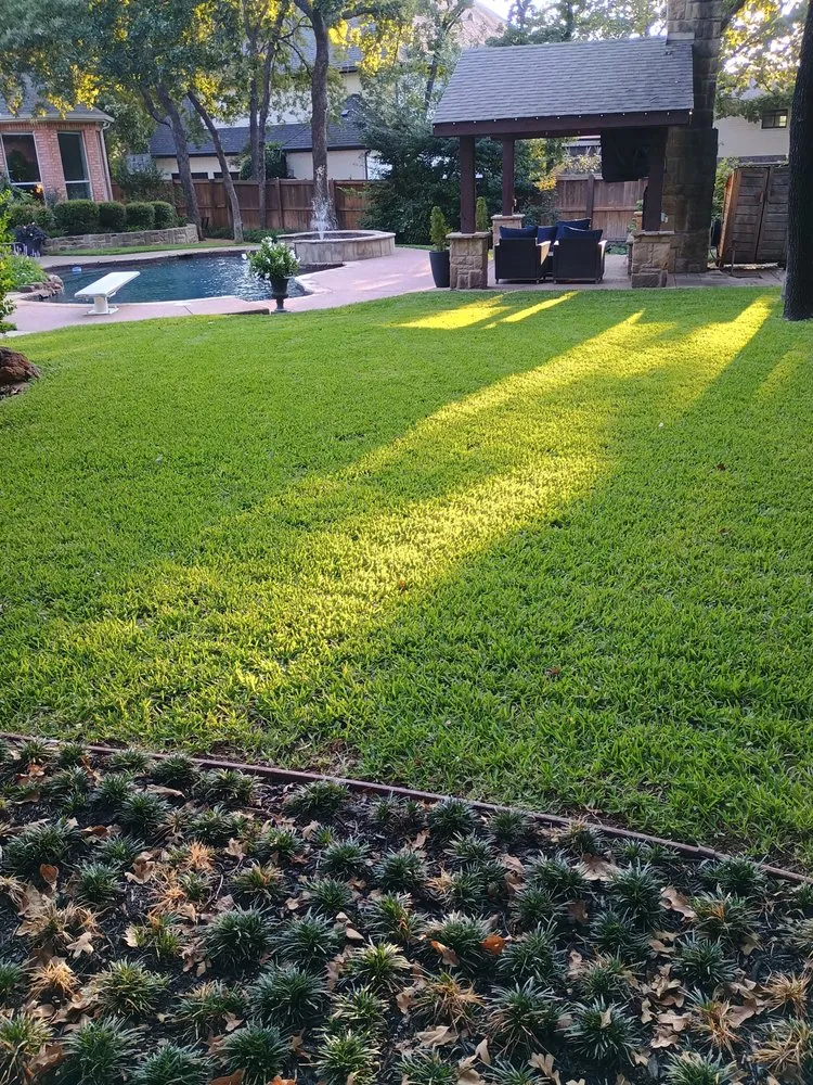 Professional yard cleanup service in Hurst, TX - Morel Home Services