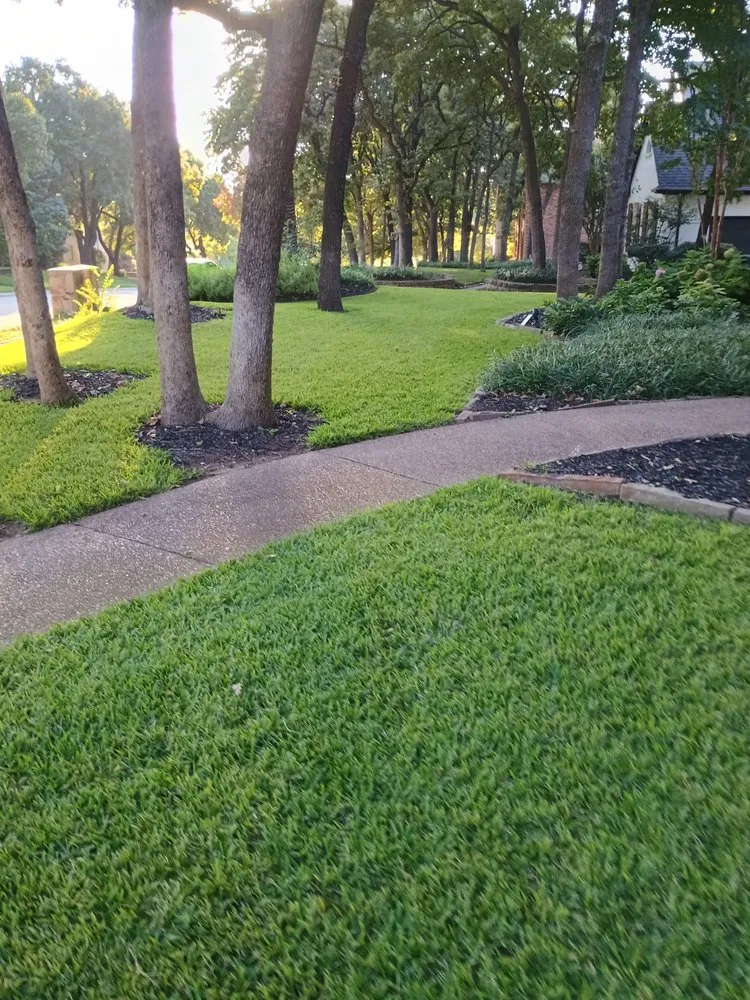 Expert yard maintenance in Hurst, TX by Morel Home Services