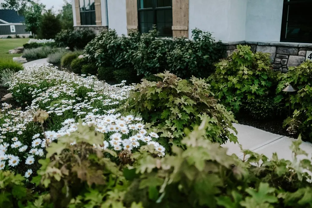 Trusted yard maintenance in Broadview Heights, OH - Morel Landscaping