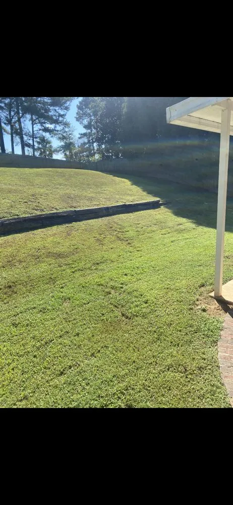 Local lawn care service for year-round maintenance in Columbus, GA by Moreland Lawn Services