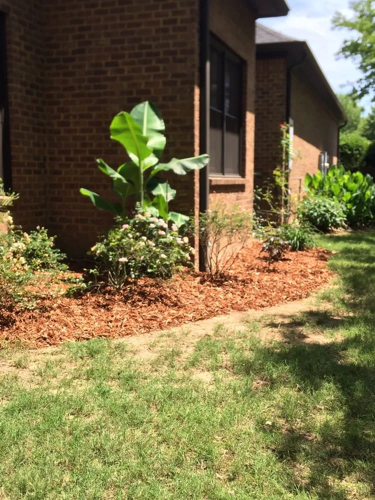 Affordable landscape design for year-round maintenance across Tuscaloosa, AL - Morelia Services