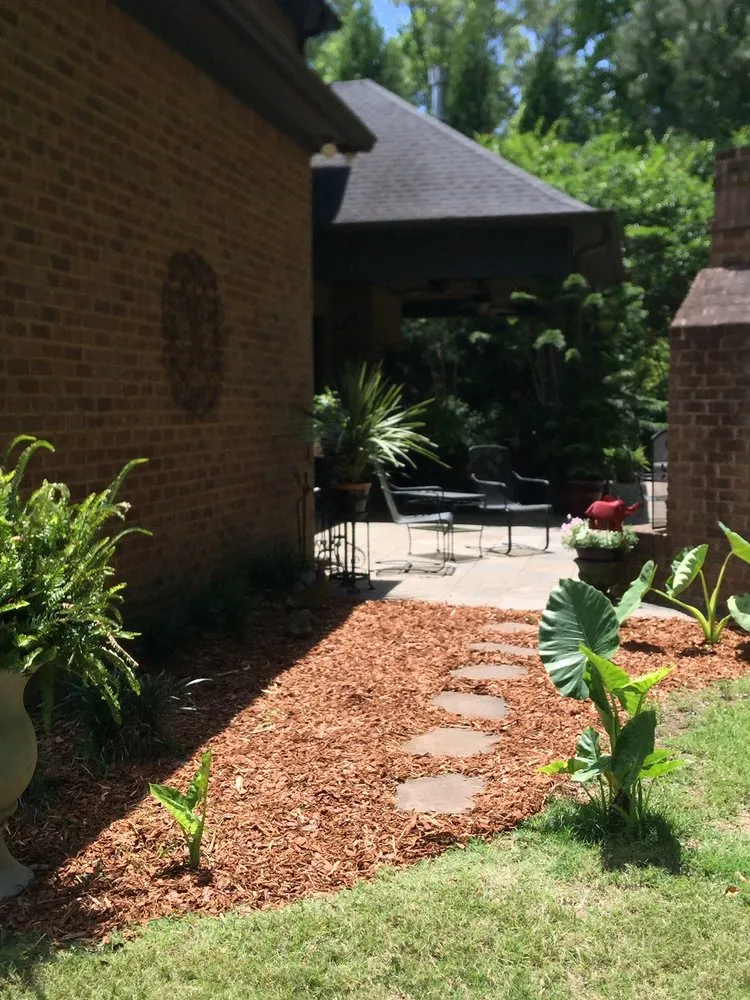 Local lawn mowing service for residential properties across Tuscaloosa, AL - Morelia Services