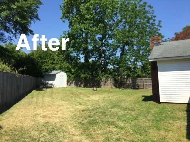 Local yard cleanup service for homes in Tuscaloosa, AL by Morelia Services