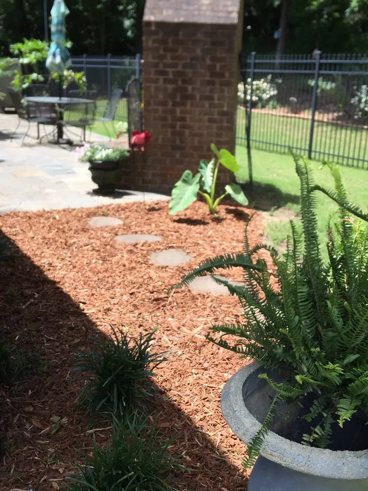 Affordable landscape installation experts serving Tuscaloosa, AL - Morelia Services