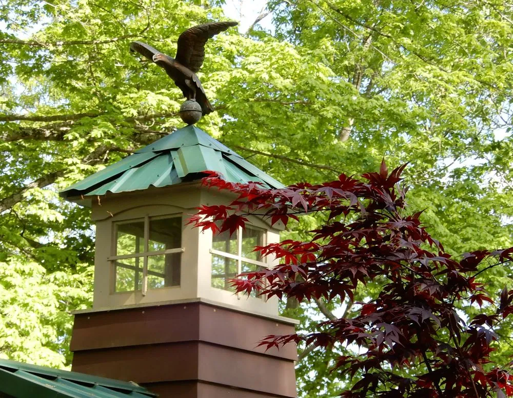 Trusted yard cleanup service with custom design in Knoxville, TN by Morello & Associates Landscape Architecture & Land Planning