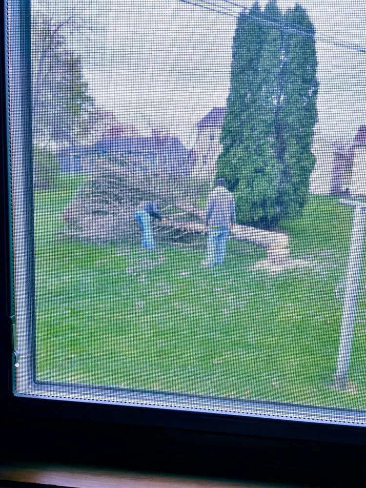 Trusted yard cleanup service for outdoor upgrades across Austin, MN - Morem Agri-Lawn