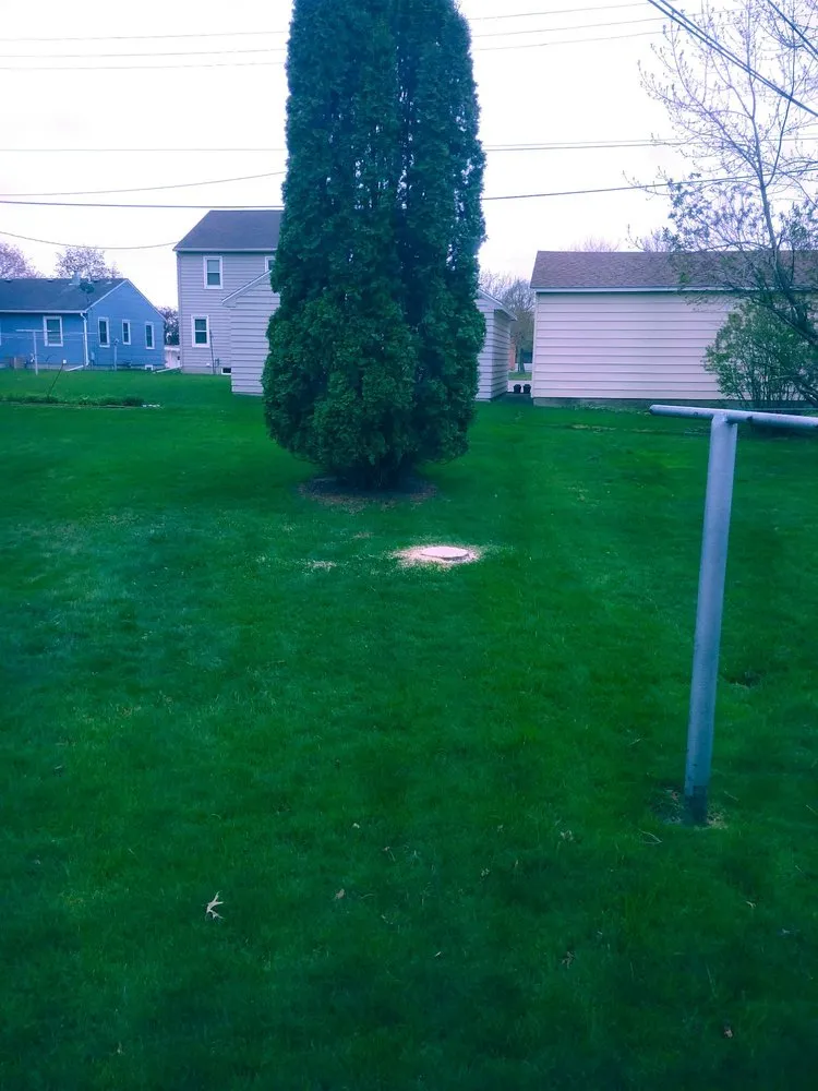 Trusted yard cleanup service in Austin, MN - Morem Agri-Lawn