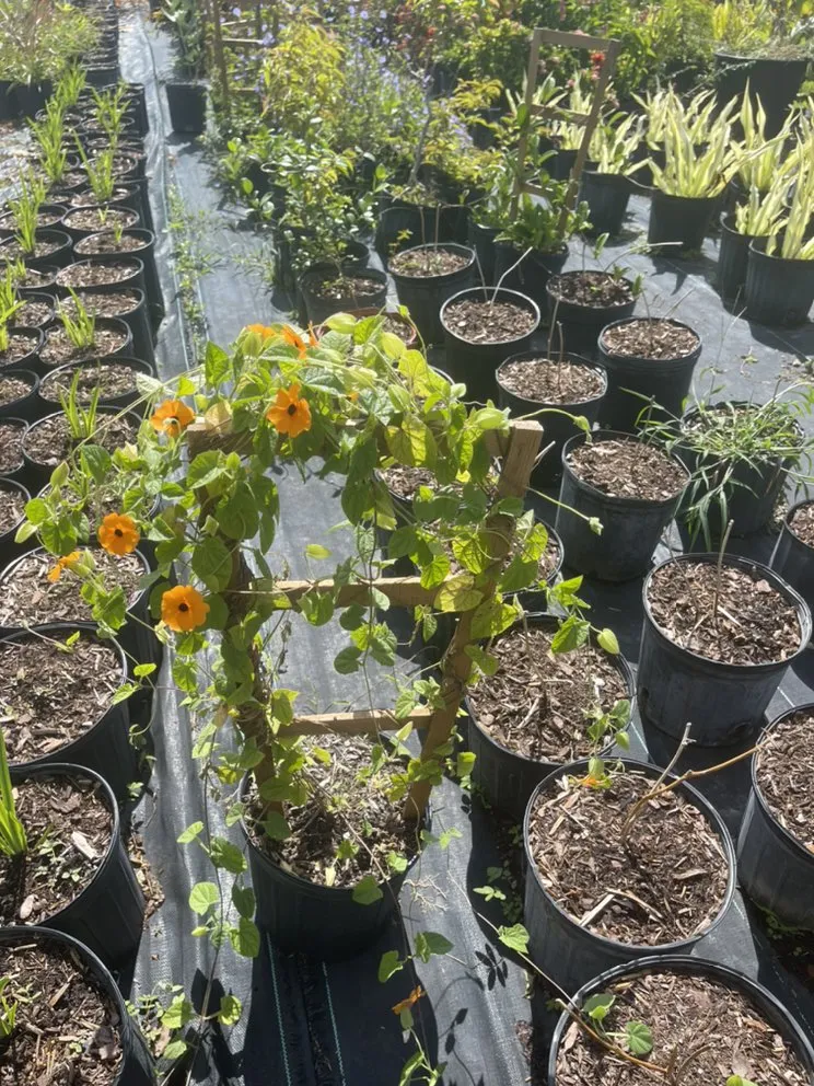 Professional yard cleanup service for residential properties in Miami, FL by Morena’s Farm & Landscaping