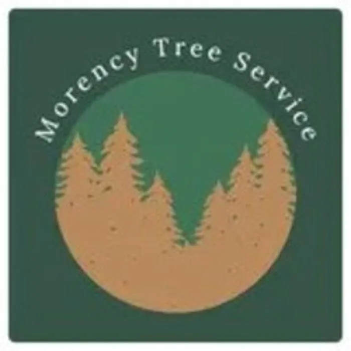 Custom lawn care service in Danielson, CT by Morency Tree Service