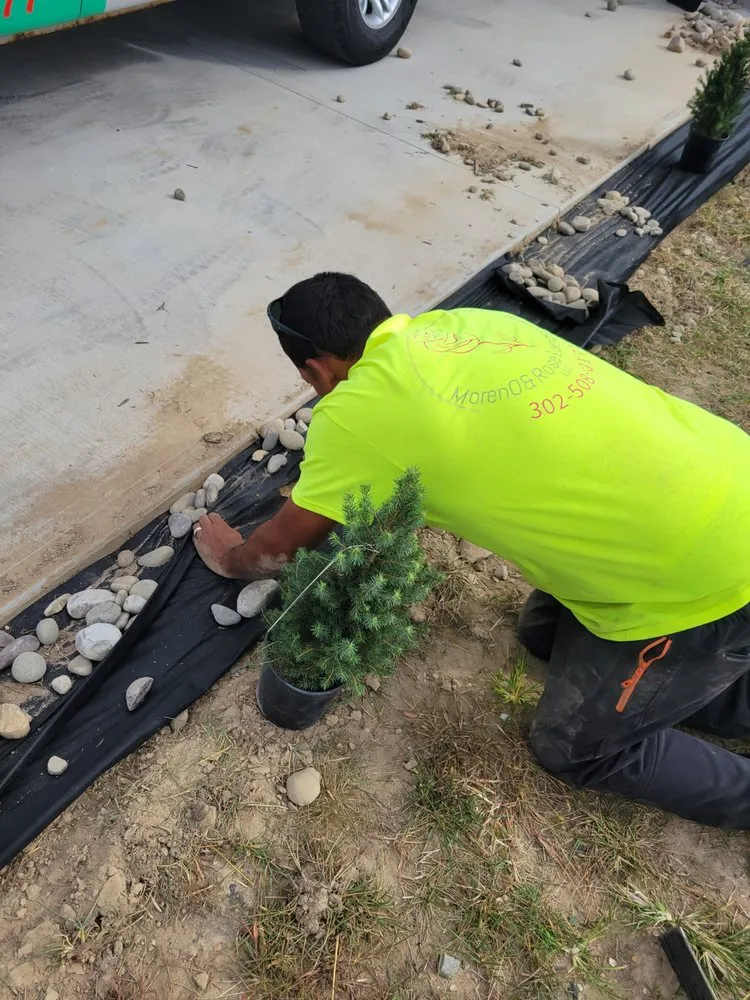 Professional outdoor landscaping in Smyrna, DE - Moreno & Rose Landscaping