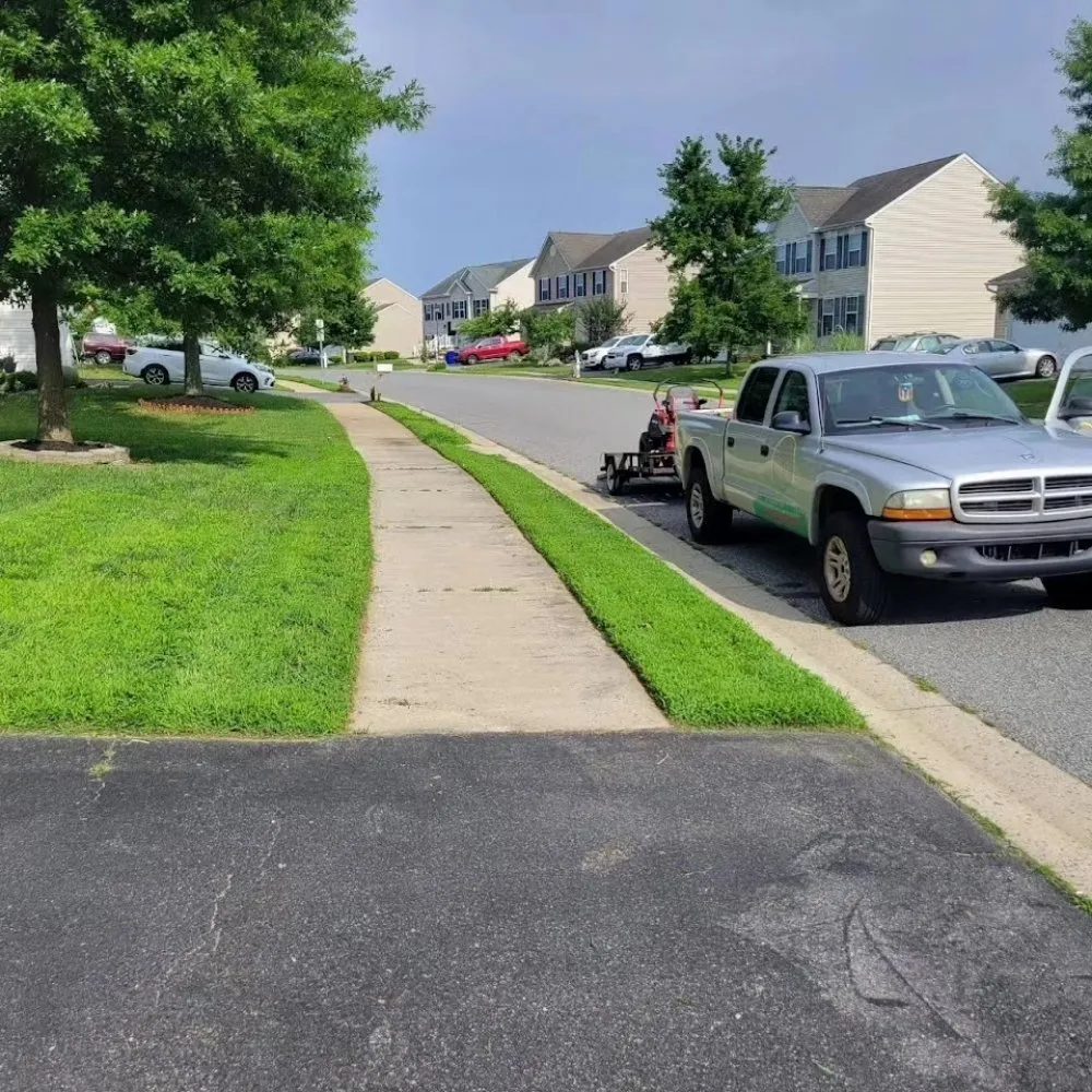 Professional yard cleanup service with custom design across Smyrna, DE - Moreno & Rose Landscaping