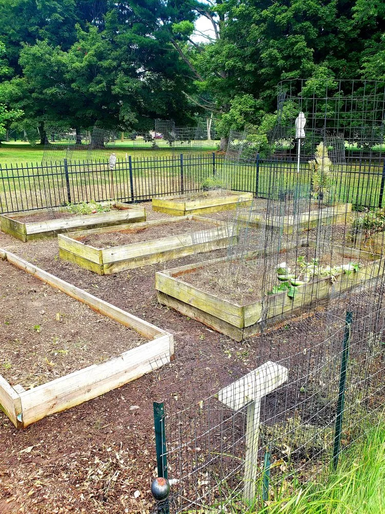 Top-rated landscape design for beautiful yards across Smyrna, DE - Moreno & Rose Landscaping