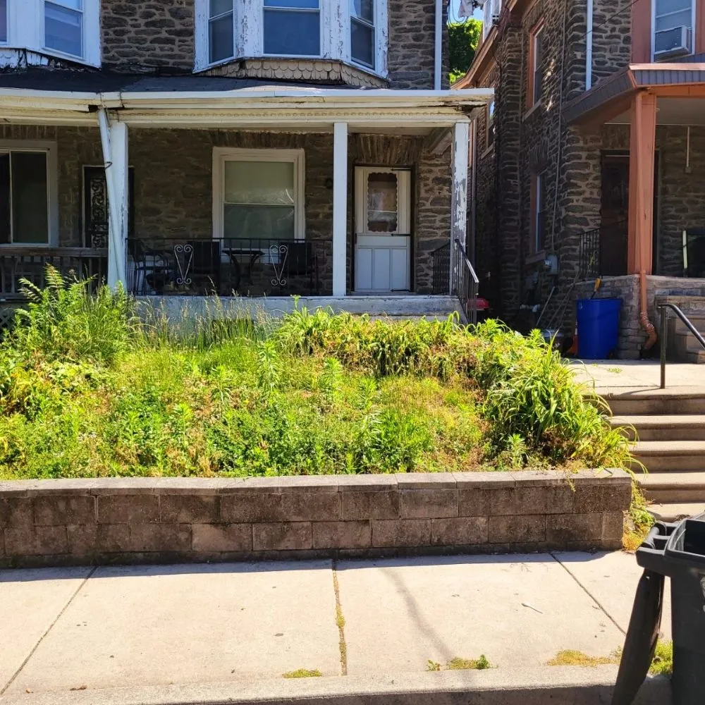 Trusted yard maintenance in Smyrna, DE by Moreno & Rose Landscaping