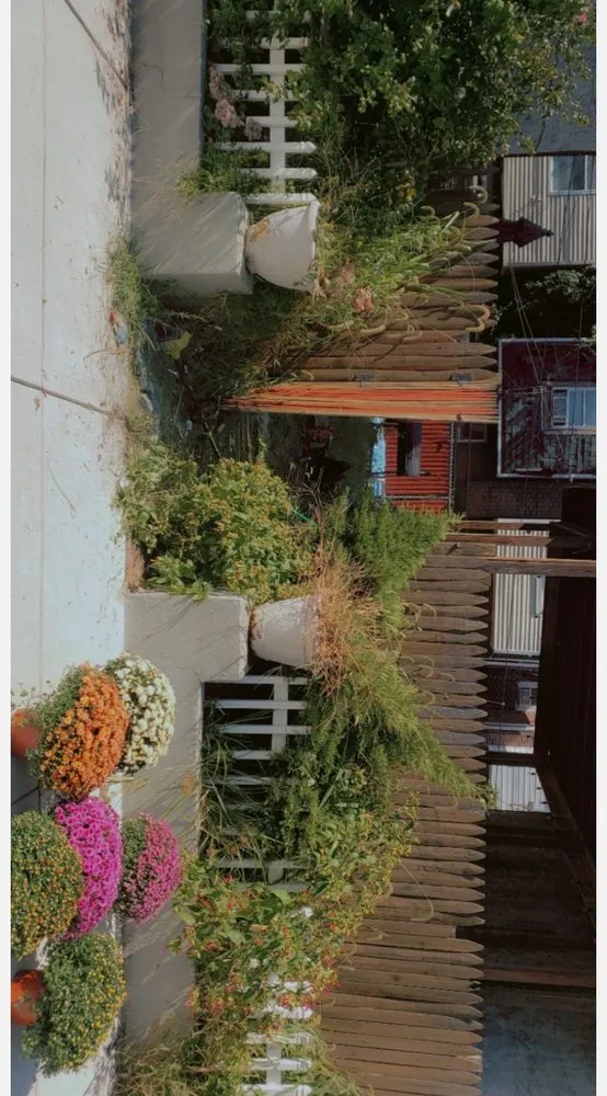 Expert yard cleanup service in Smyrna, DE - Moreno & Rose Landscaping