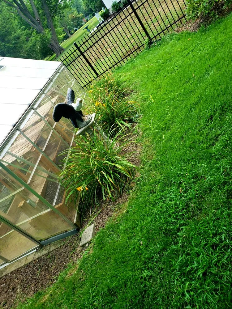 Professional landscape design experts serving Smyrna, DE - Moreno & Rose Landscaping