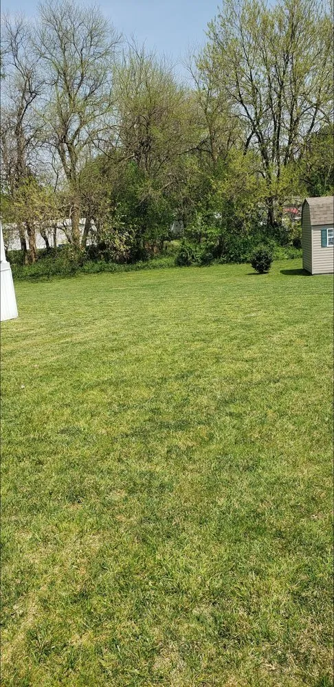 Reliable landscaping services for year-round maintenance in Smyrna, DE by Moreno & Rose Landscaping