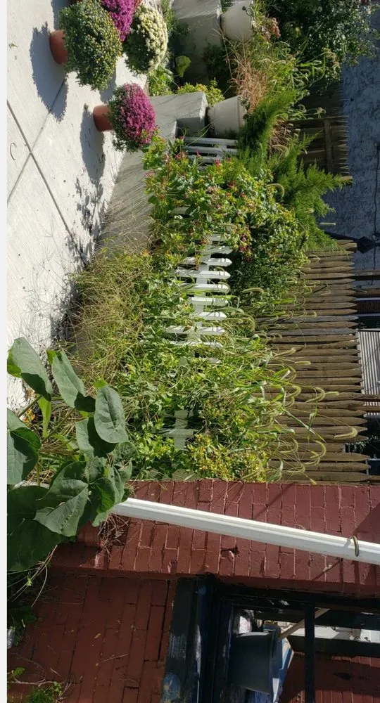 Expert yard maintenance in Smyrna, DE - Moreno & Rose Landscaping